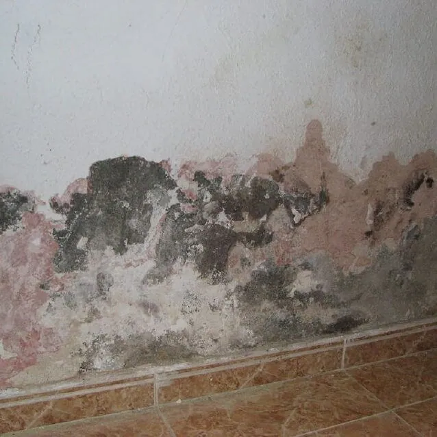 Evitar humedad por capilaridad
