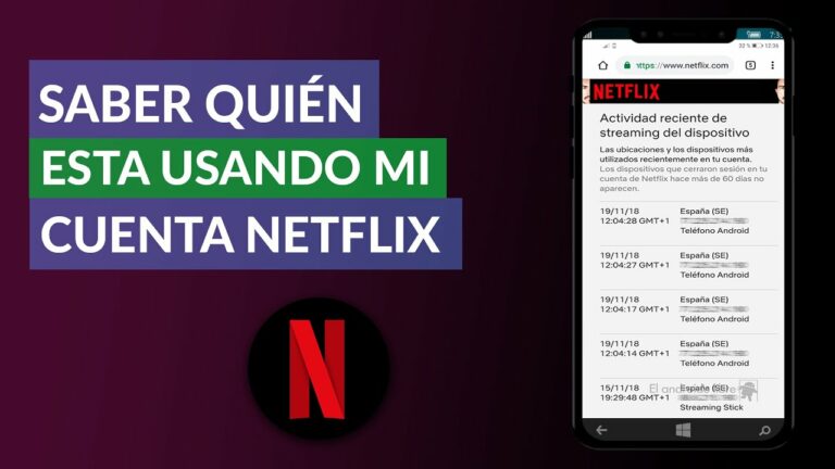 Como ver cuantas personas estan conectadas a mi netflix