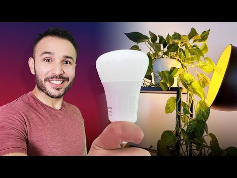 Como funciona philips hue