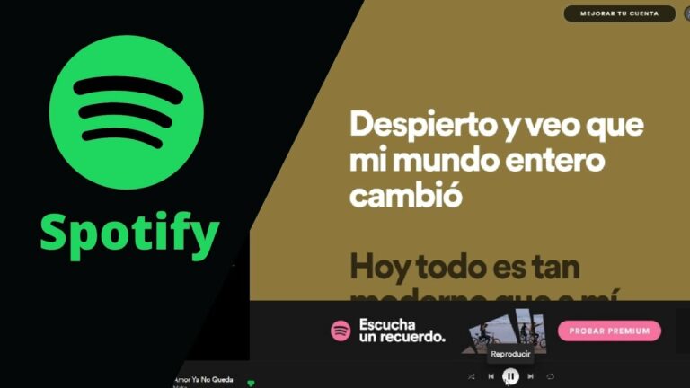 Como poner la letra en spotify pc