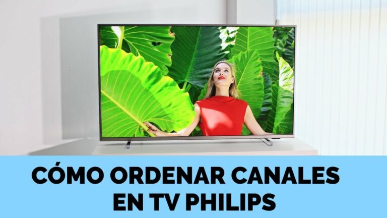 Como organizar los canales de tv philips