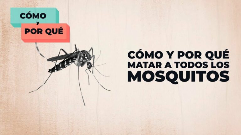 Como matar a un mosquito