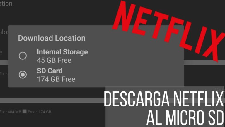 Como guardar descargas de netflix en pendrive