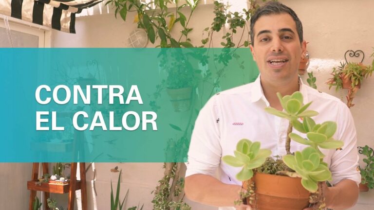 Como bajar la temperatura de una habitación