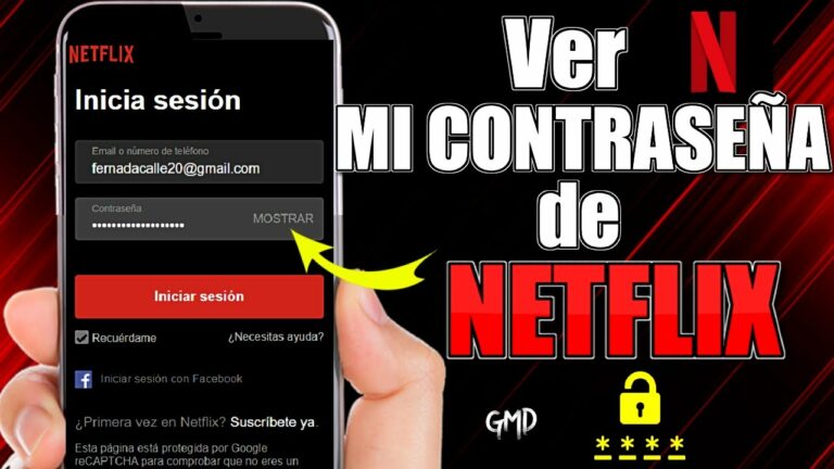 Como ver mi propia contraseña de netflix